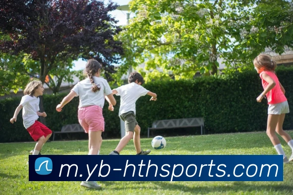 华体会体育平台生态图